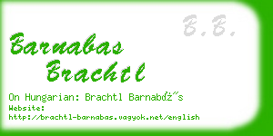 barnabas brachtl business card